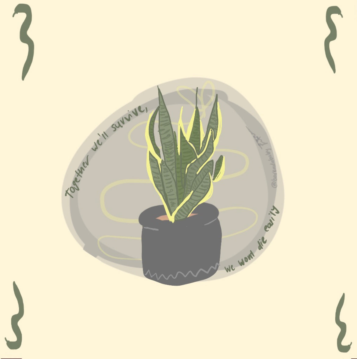 snake plant print described in description
